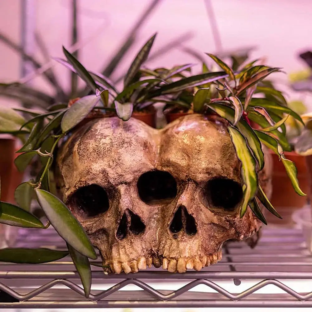 Pot de Fleurs en Résine à Deux Crânes Gris Vieilli