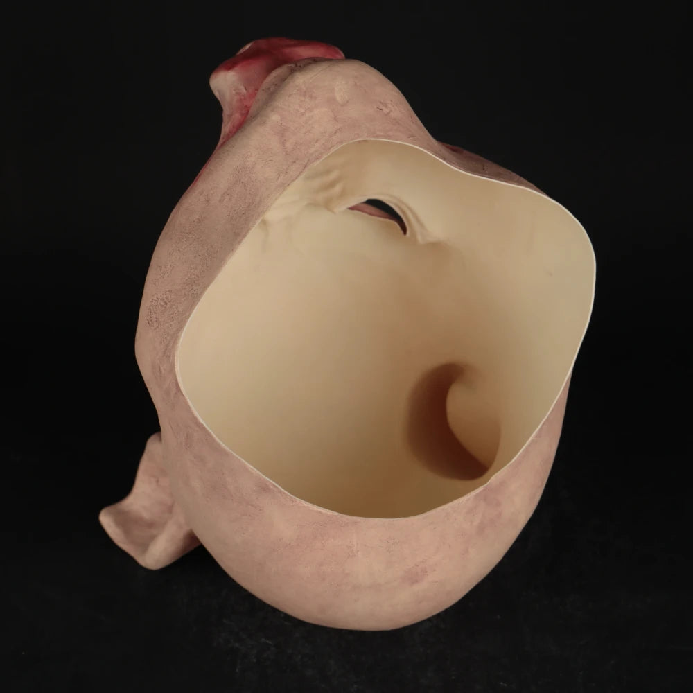 Masque de Cochon Psychopathe en Latex