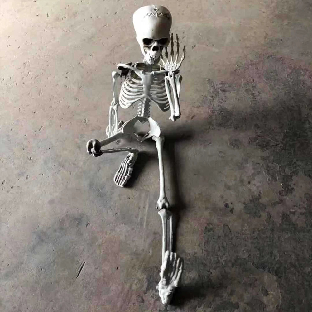 Grand Squelette Articulé de 170cm pour Halloween