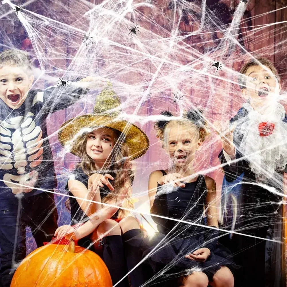 Toile d'Araignée Halloween Multi-Couleur avec Araignées