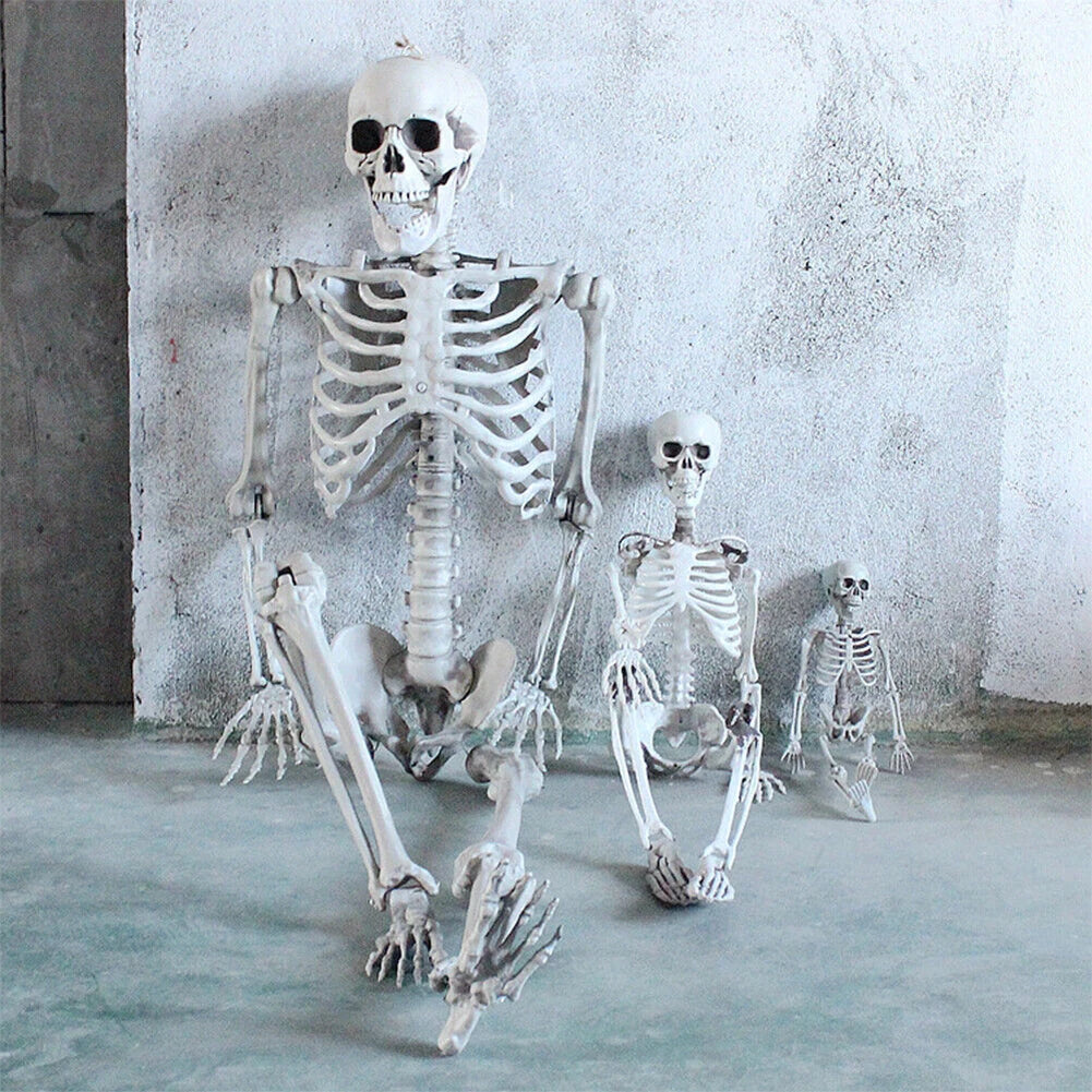 Grand Squelette Articulé de 170cm pour Halloween