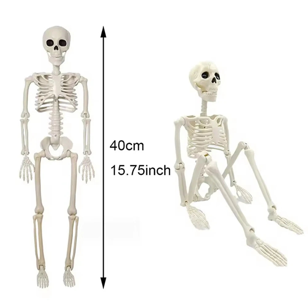 Squelette Articulé en Plastique d'Halloween