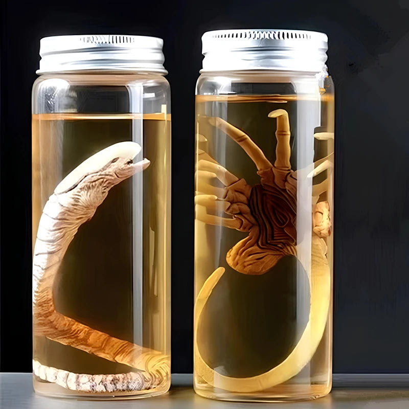 Réplique Facehugger Alien en Bocal