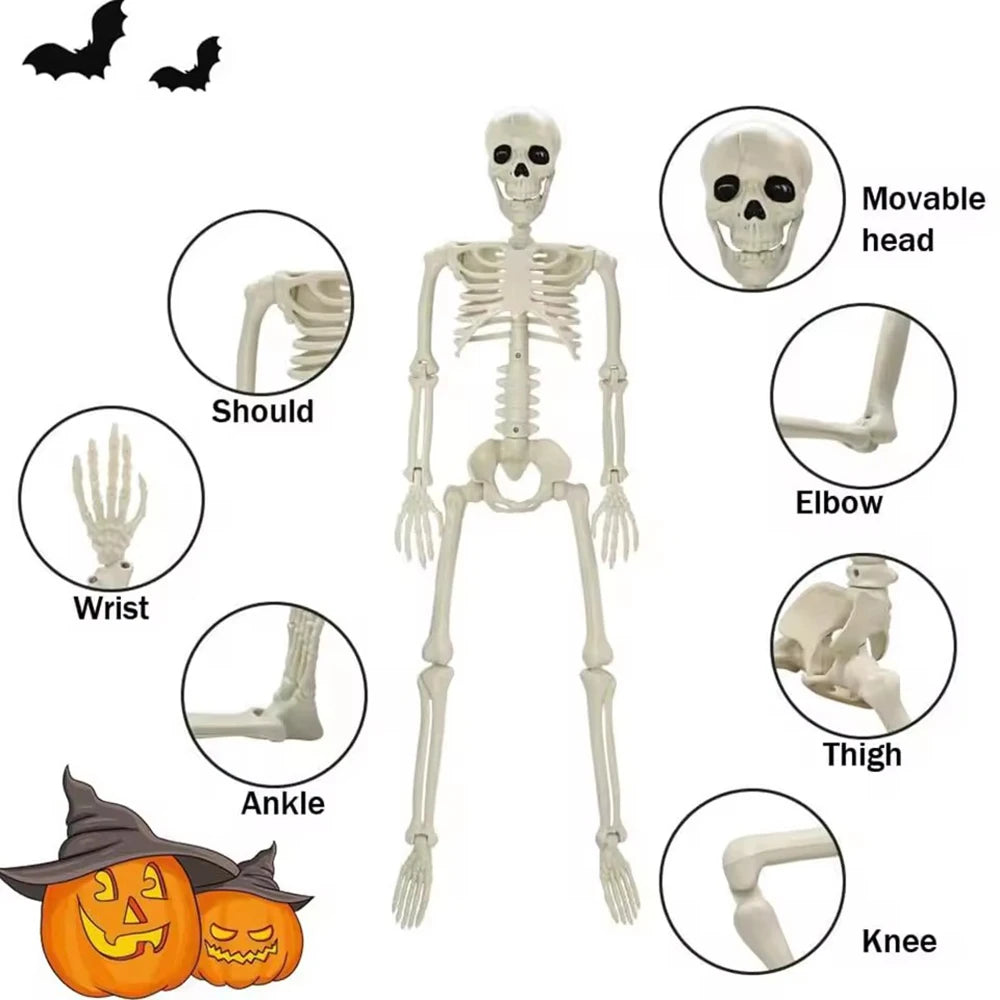 Squelette Articulé en Plastique d'Halloween