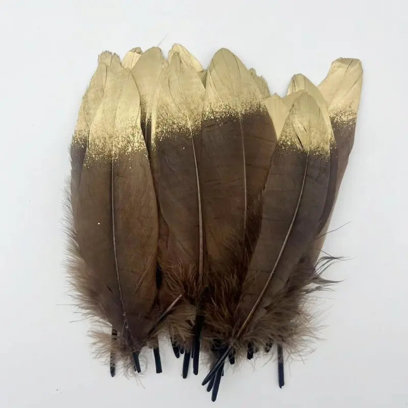 Plumes Décoratives Noires à Motif Crânes Blancs