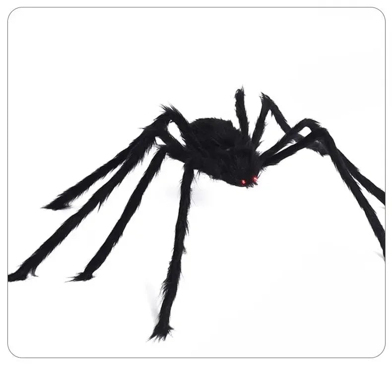 Araignée Géante Noire aux Yeux Rouges et Toile Blanche
