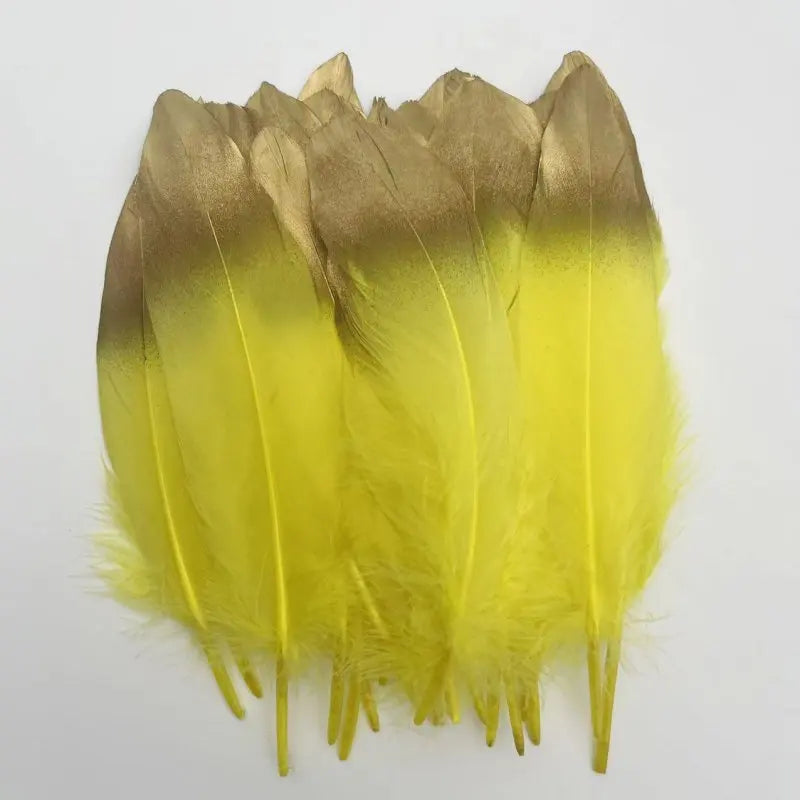 Plumes Décoratives Noires à Motif Crânes Blancs