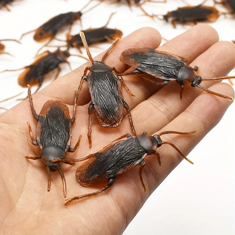 Assortiment d'Insectes Réalistes en Plastique pour Farces