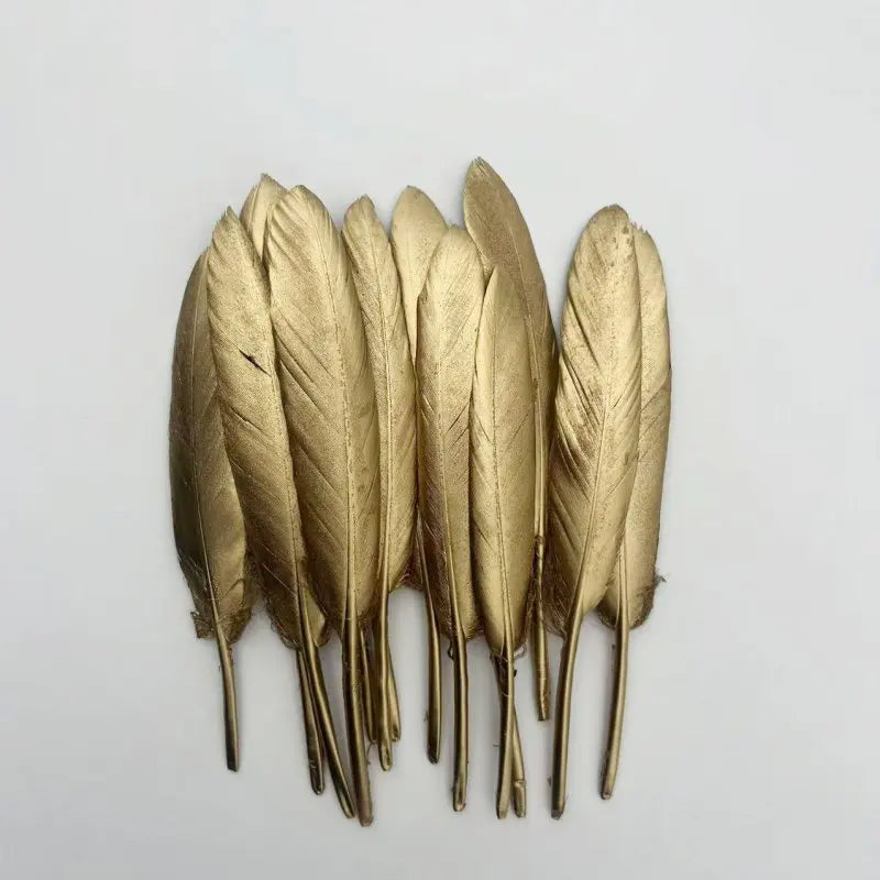 Plumes Décoratives Noires à Motif Crânes Blancs