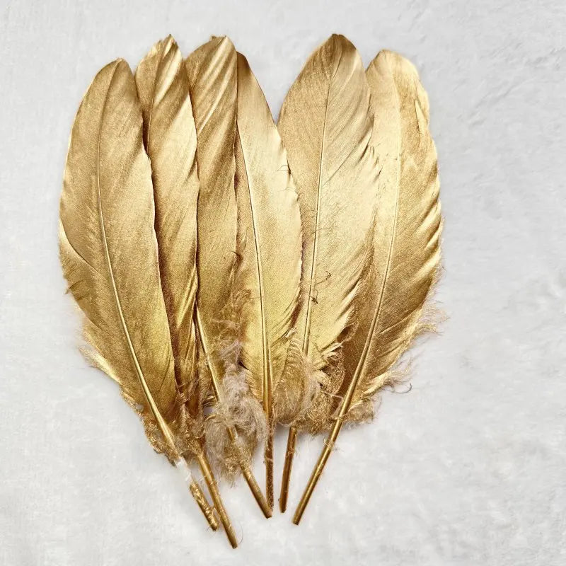 Plumes Décoratives Noires à Motif Crânes Blancs