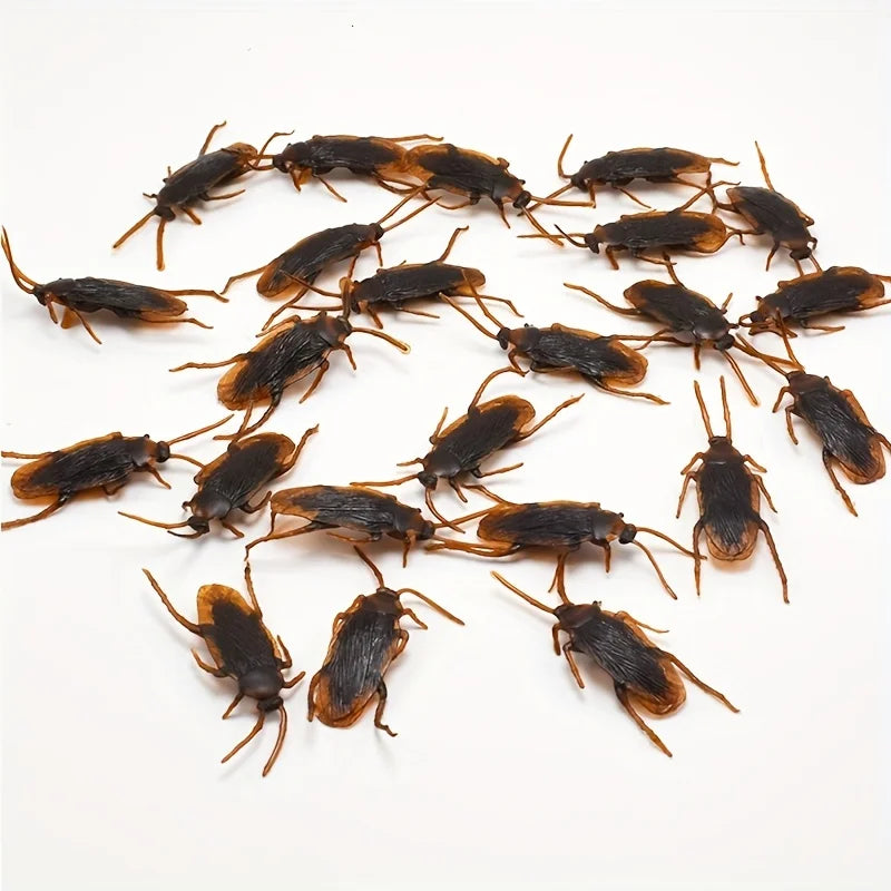 Assortiment d'Insectes Réalistes en Plastique pour Farces