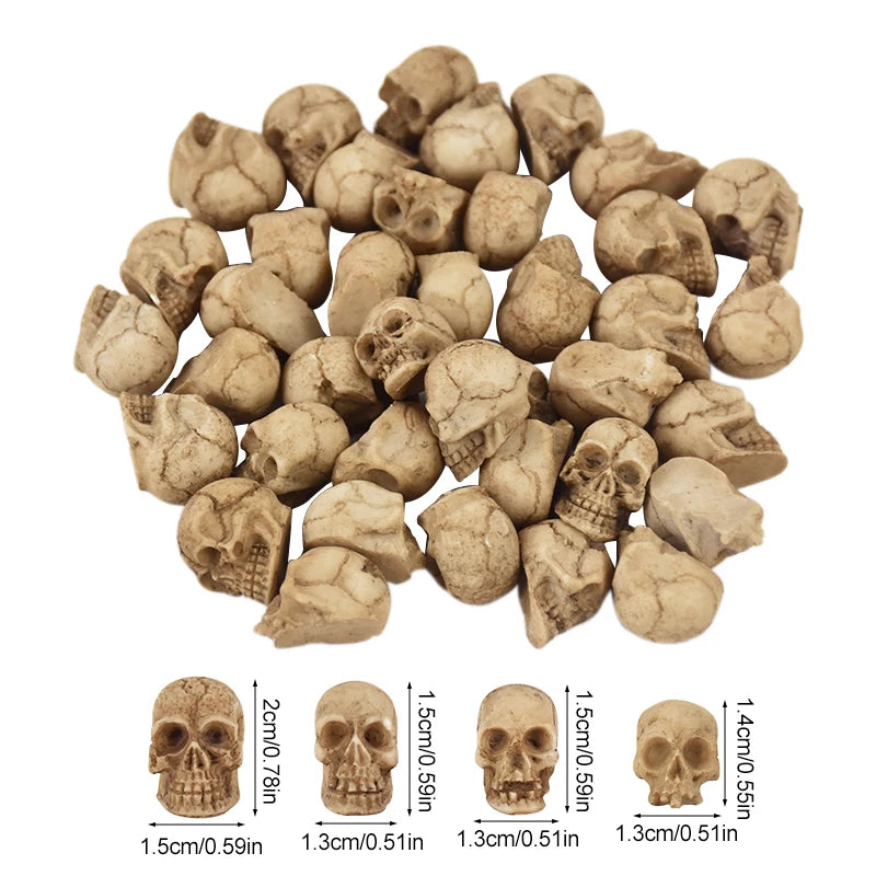 Mini Crânes Décoratifs en Résine Vieillie