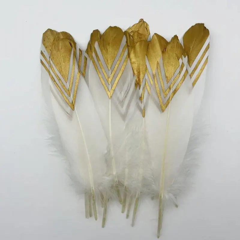 Plumes Décoratives Noires à Motif Crânes Blancs