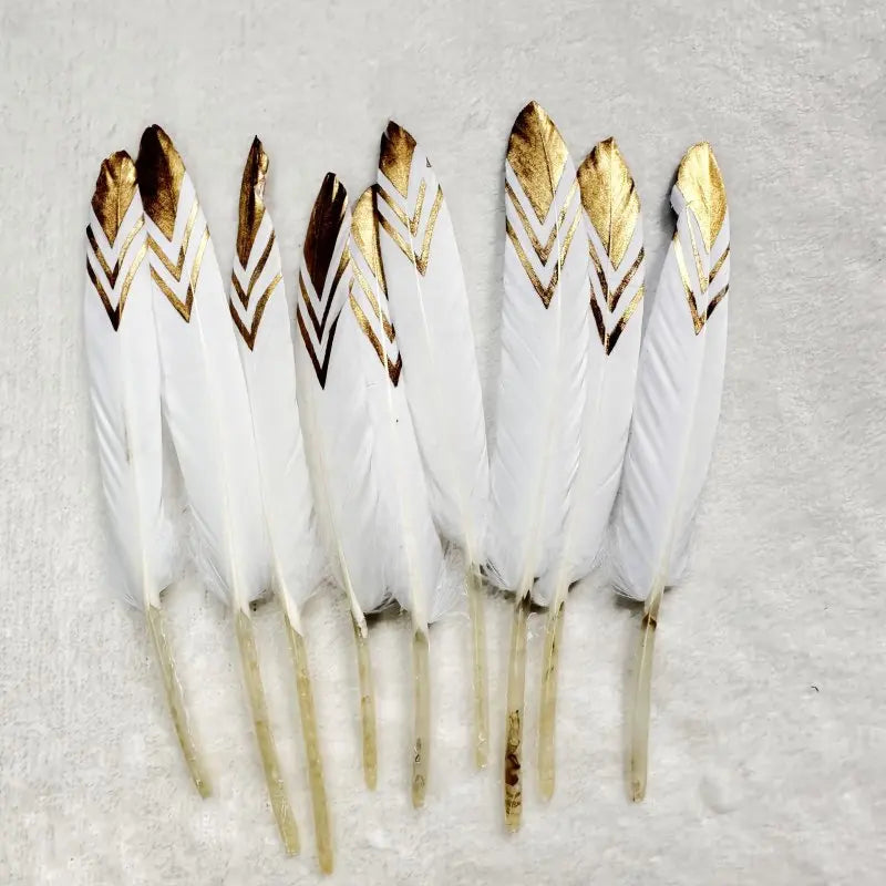 Plumes Décoratives Noires à Motif Crânes Blancs