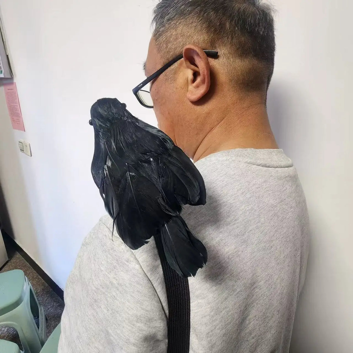 Corbeau Noir Réaliste à Bec Ouvert pour Épaule