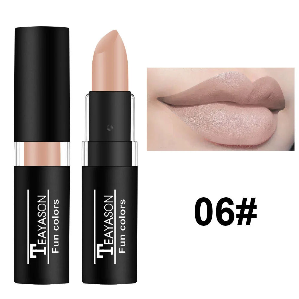 Rouge à Lèvres Noir Mat Intense