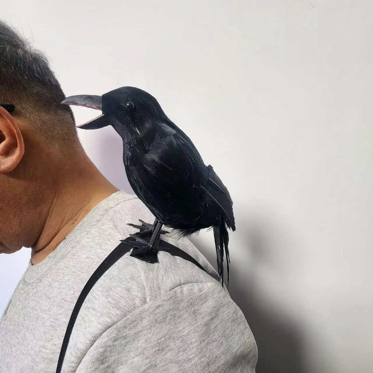 Corbeau Noir Réaliste à Bec Ouvert pour Épaule