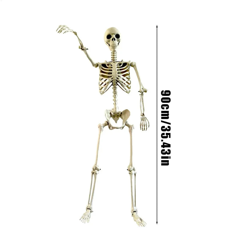 Squelette Articulé de Taille Humaine pour Halloween