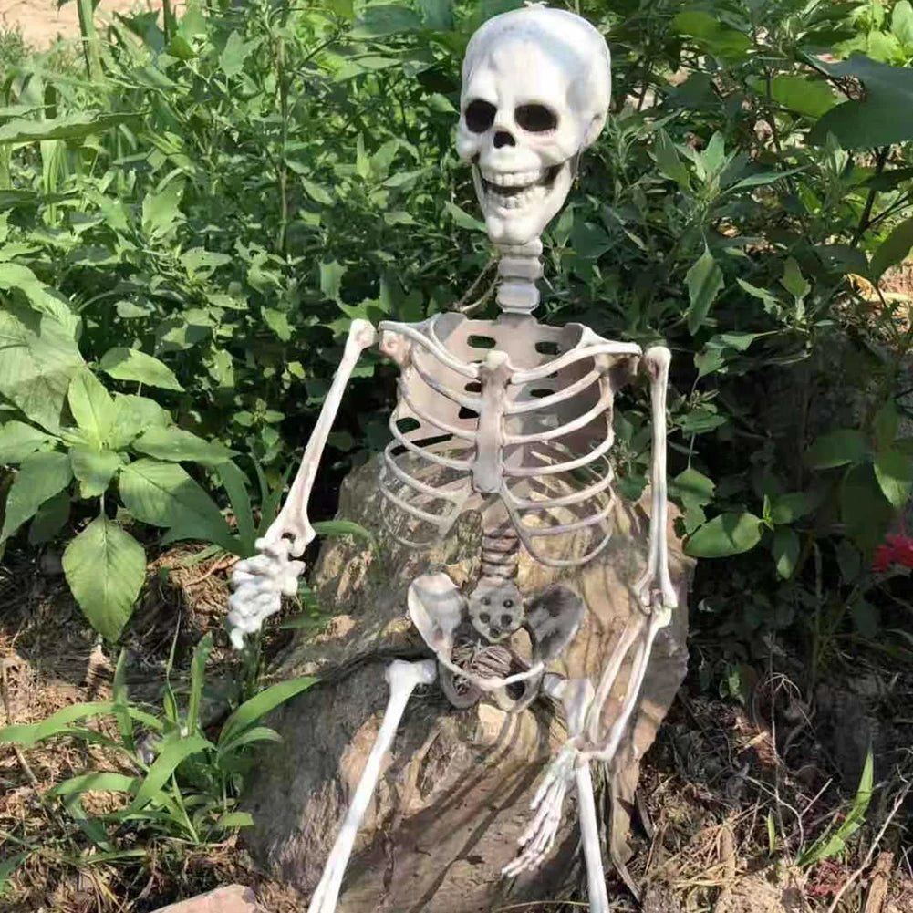 Grand Squelette Articulé de 170cm pour Halloween