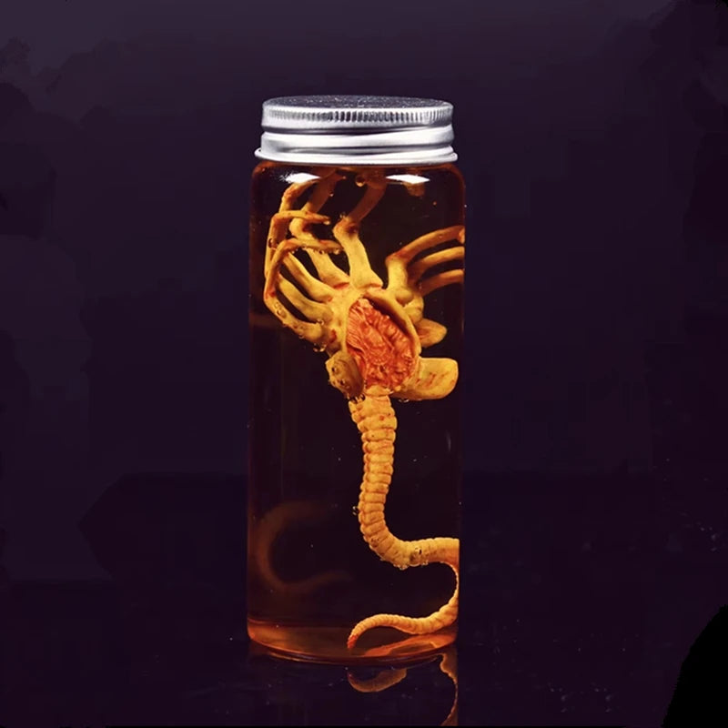 Réplique Facehugger Alien en Bocal
