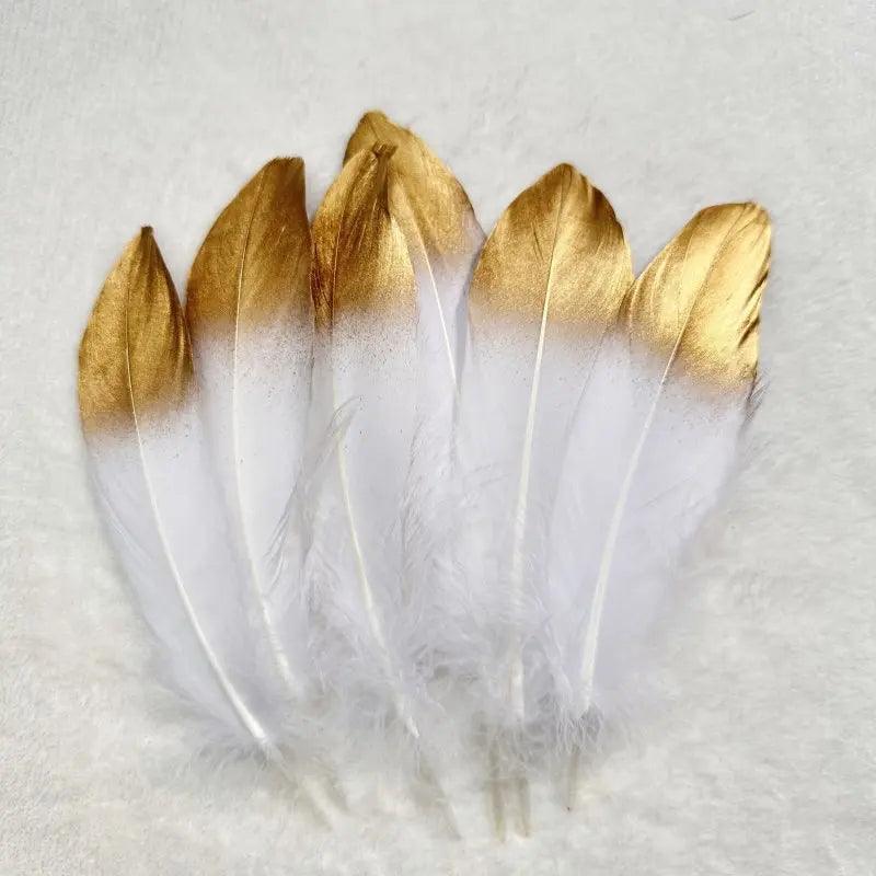 Plumes Décoratives Noires à Motif Crânes Blancs
