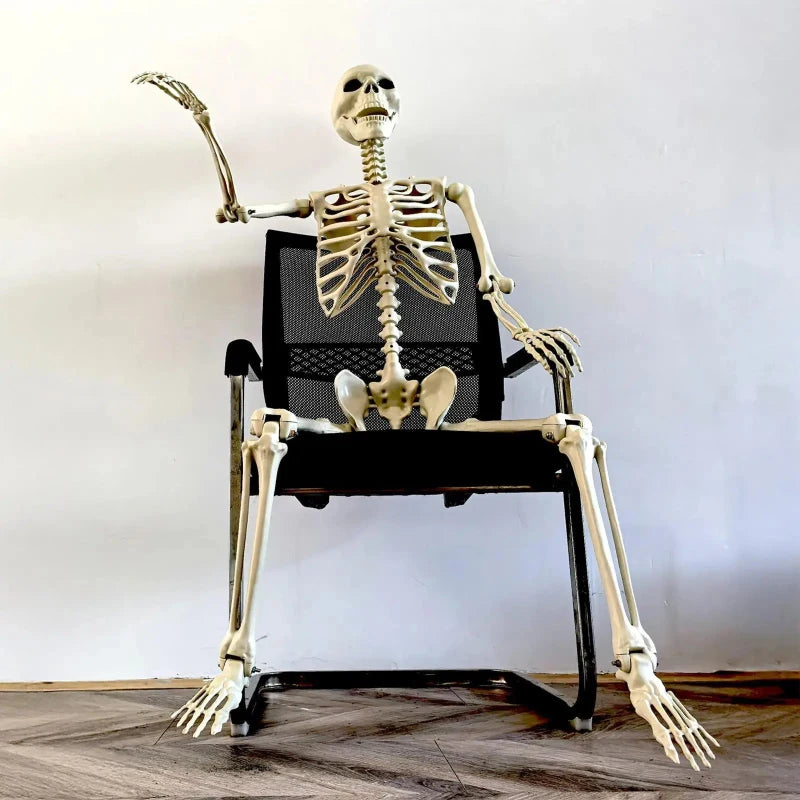 Squelette Articulé de Taille Humaine pour Halloween