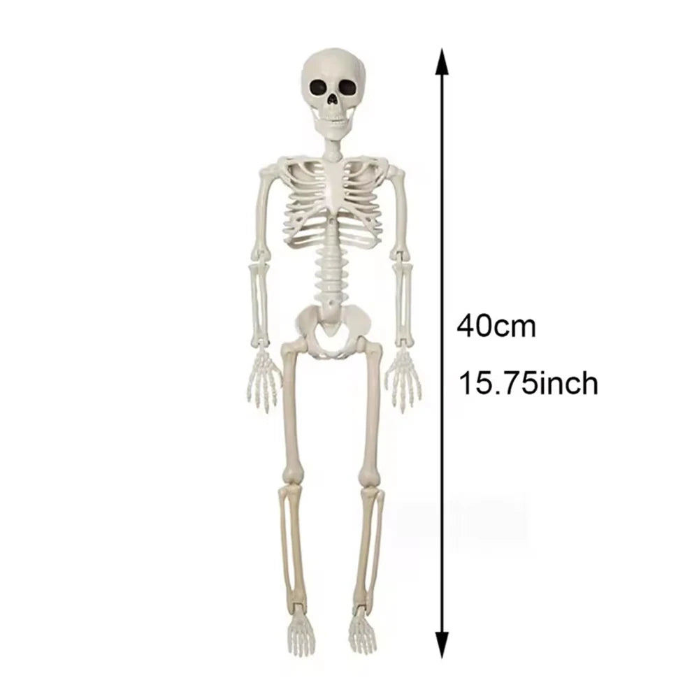 Squelette Articulé en Plastique d'Halloween