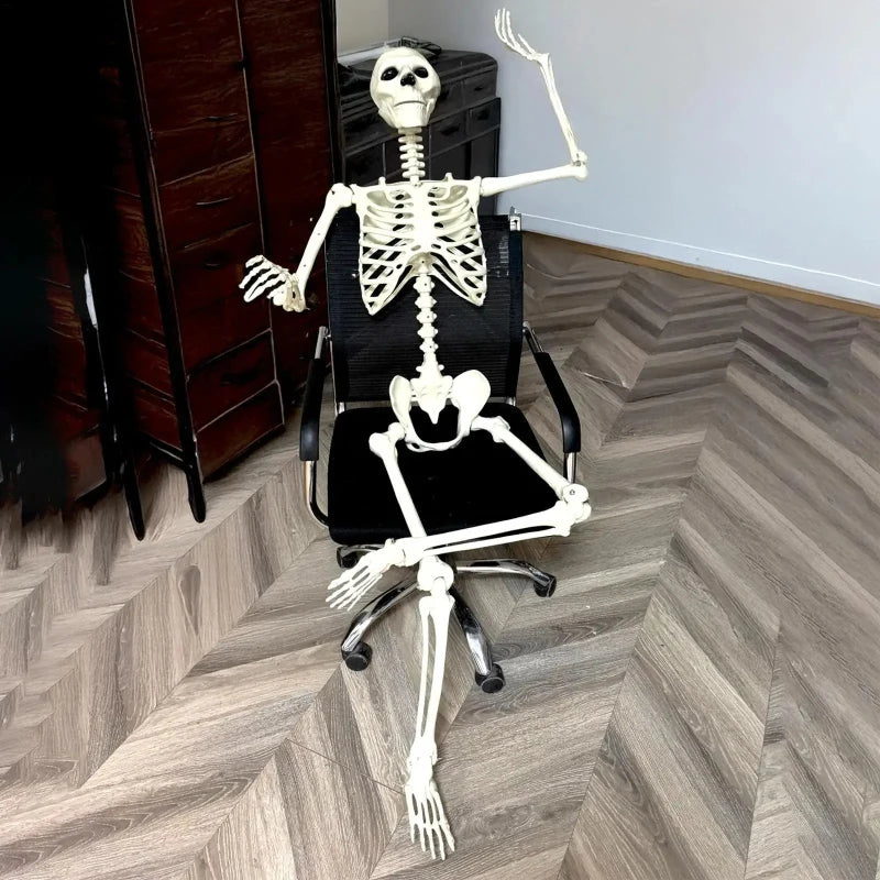 Squelette Articulé de Taille Humaine pour Halloween