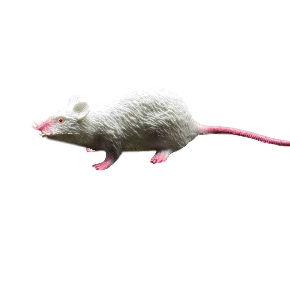 Lot de Faux Rats Réalistes en Caoutchouc