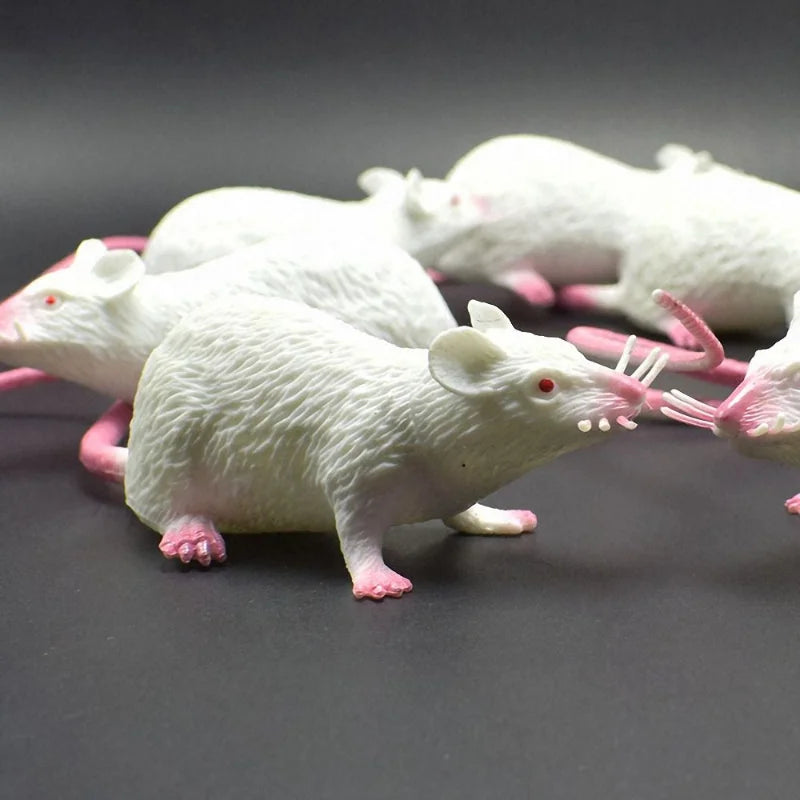 Lot de Faux Rats Réalistes en Caoutchouc