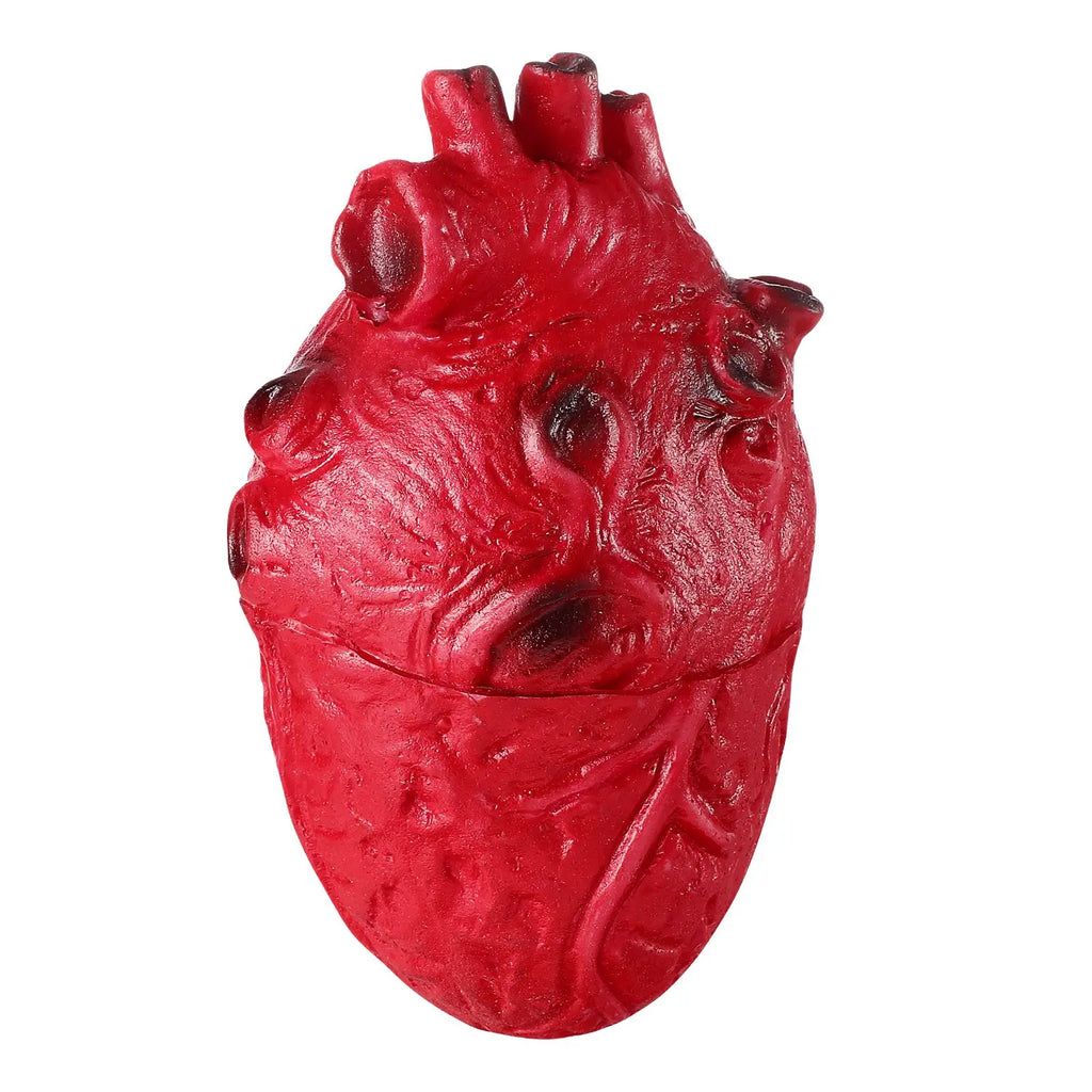 Cœur Humain Réaliste Rouge pour Halloween