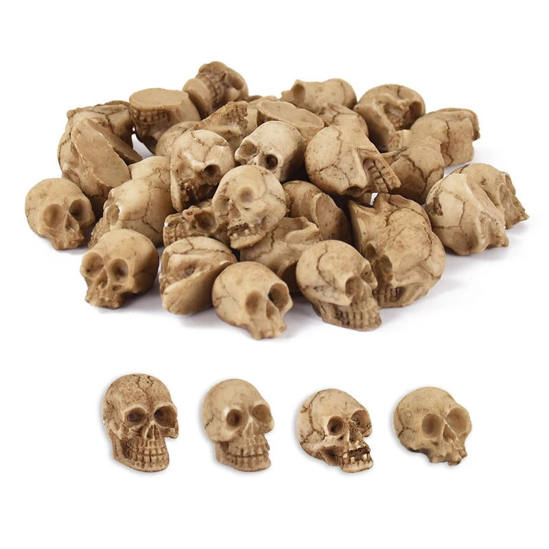 Mini Crânes Décoratifs en Résine Vieillie