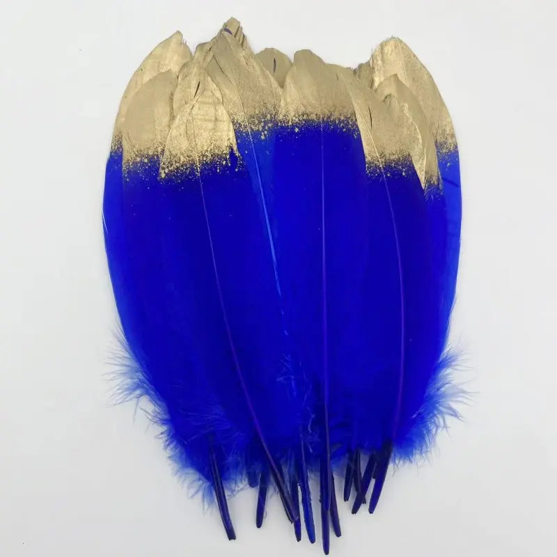 Plumes Décoratives Noires à Motif Crânes Blancs