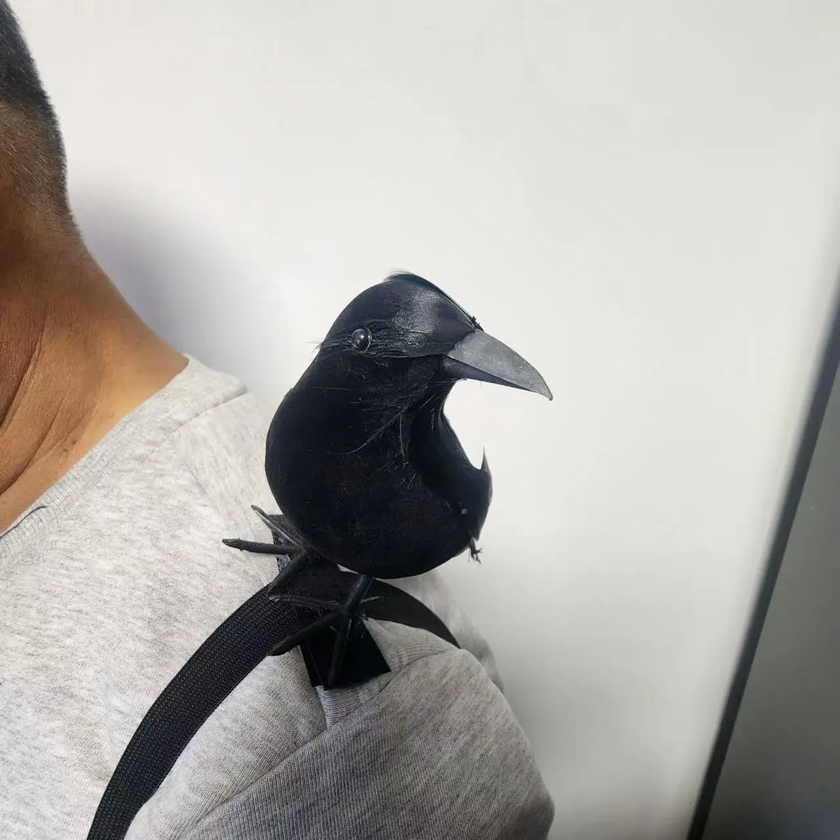 Corbeau Noir Réaliste à Bec Ouvert pour Épaule