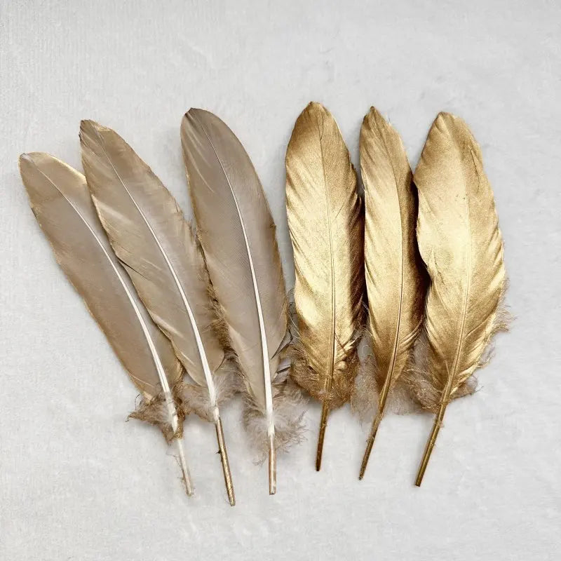 Plumes Décoratives Noires à Motif Crânes Blancs