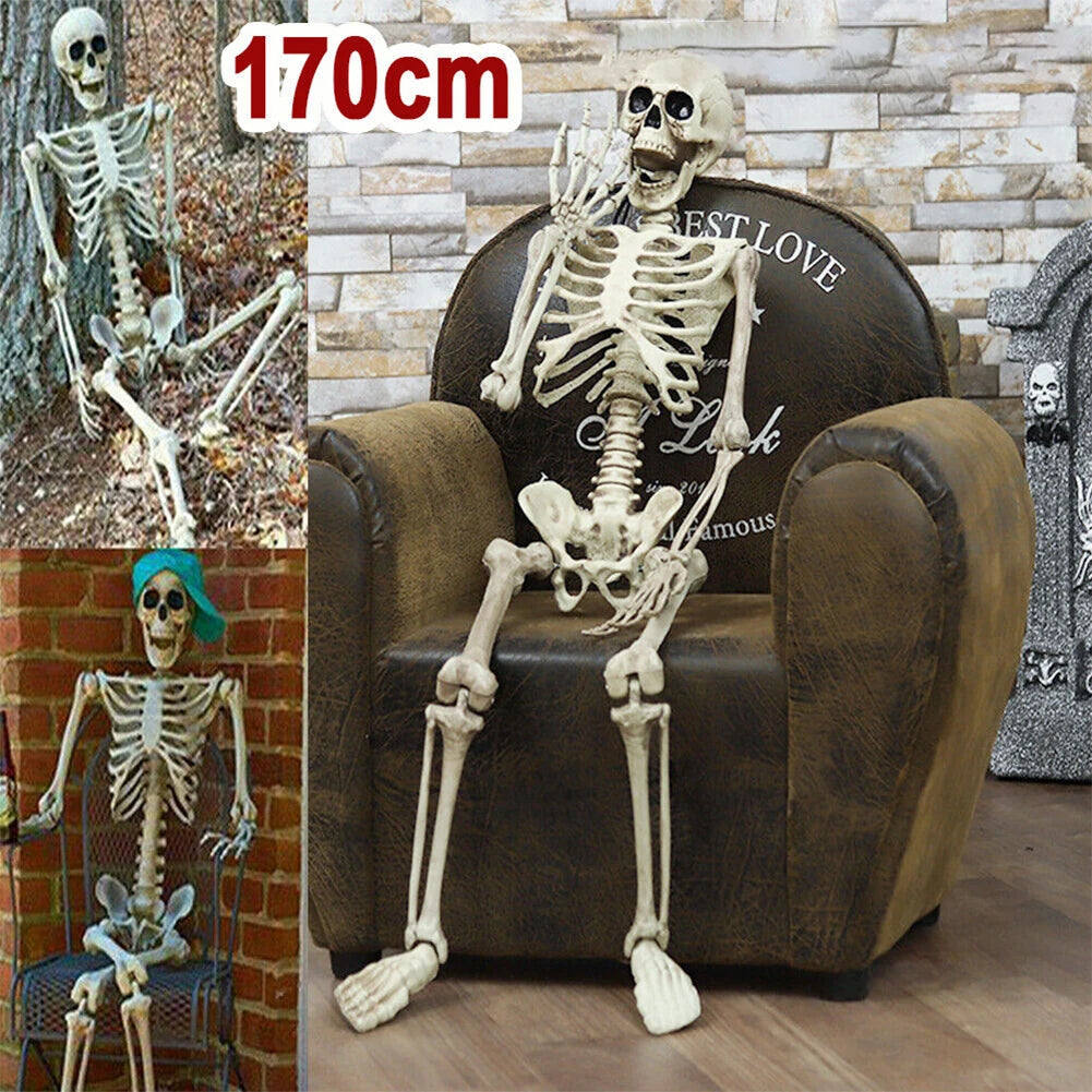 Grand Squelette Articulé de 170cm pour Halloween