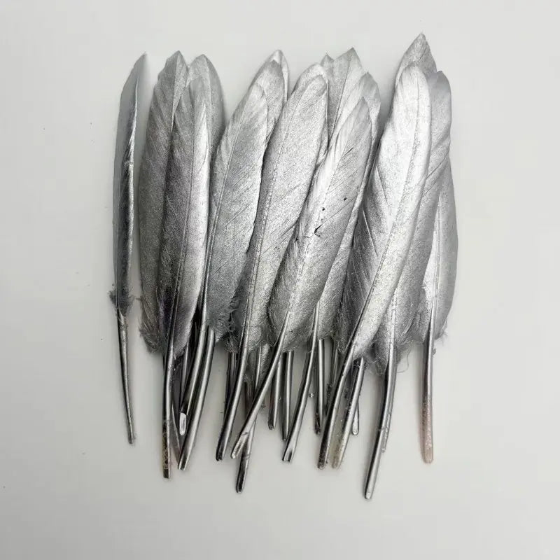 Plumes Décoratives Noires à Motif Crânes Blancs